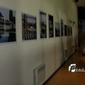 IMG_181798
