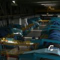 IMG_181934