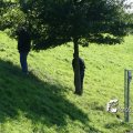 IMG_181987