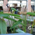 IMG_182122