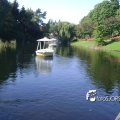 DSC08960