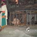 DSC08989