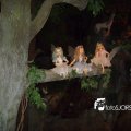 DSC09002
