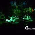 DSC09010
