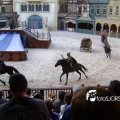 DSC09019