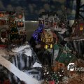IMG_829162