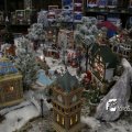 IMG_829165