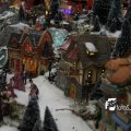 IMG_829181