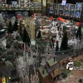 IMG_829184