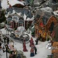 IMG_829186