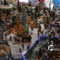 IMG_829191