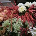 IMG_829232