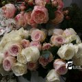 IMG_829233