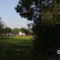 IMG_827799