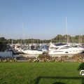 IMG_827943