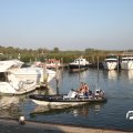IMG_827978