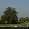 00020J2011