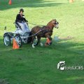 2011_1002RR0011