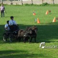 2011_1002RR0014