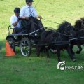 2011_1002RR0017
