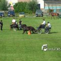 2011_1002RR0019