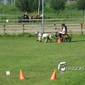 2011_1002RR0034