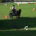 2011_1002RR0036
