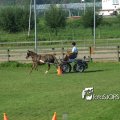 2011_1002RR0039