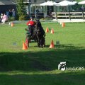 2011_1002RR0041