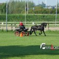 2011_1002RR0043