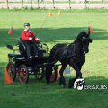 2011_1002RR0044