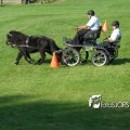 2011_1002RR0049