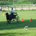 2011_1002RR0054