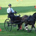 2011_1002RR0055