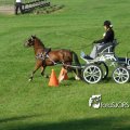 2011_1002RR0058
