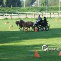 2011_1002RR0064