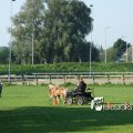 2011_1002RR0066