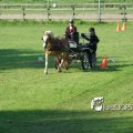 2011_1002RR0074