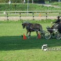 2011_1002RR0078