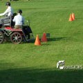 2011_1002RR0083
