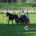 2011_1002RR0084