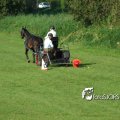 2011_1002RR0087