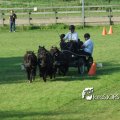 2011_1002RR0090
