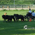 2011_1002RR0092