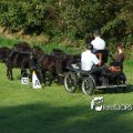 2011_1002RR0094