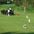 2011_1002RR0096