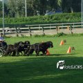 2011_1002RR0100