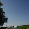 00333J2011