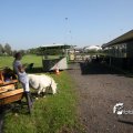 IMG_828345