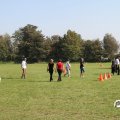 IMG_828351